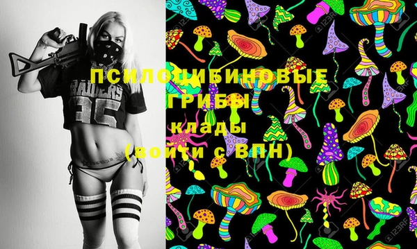 дурь Алексин