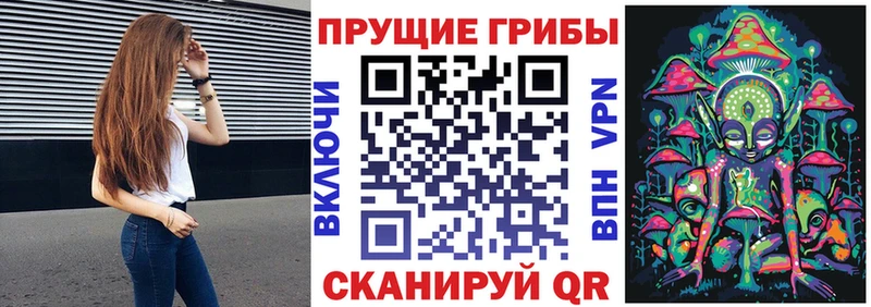 Псилоцибиновые грибы Cubensis  Чебаркуль 